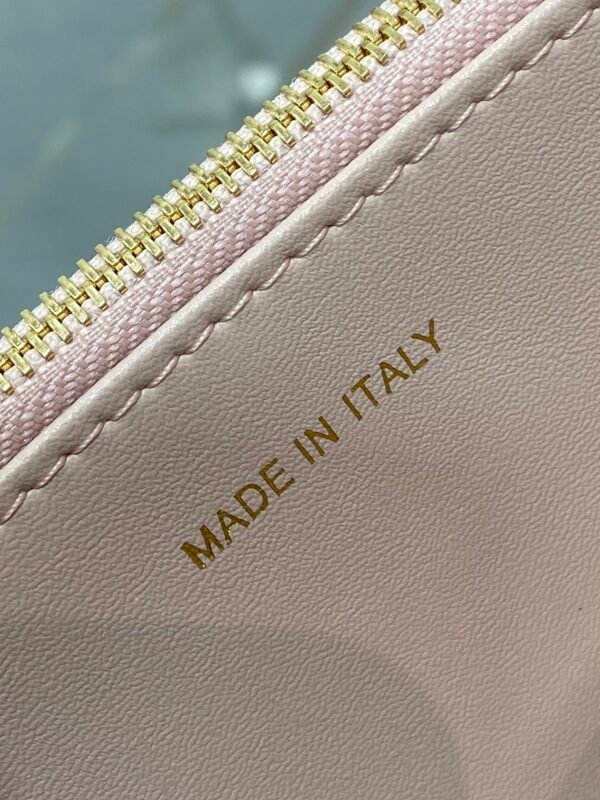 Dior Miss Caro Mini Bag Powder Pink