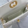 Dior Miss Caro Pouch with Chain