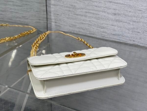 Dior Miss Caro Pouch with Chain