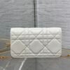 Dior Miss Caro Pouch with Chain
