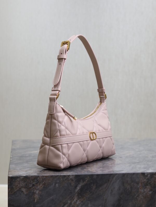 Dior Miss Caro Cigale Mini Bag