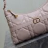 Dior Miss Caro Cigale Mini Bag