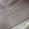 Dior Miss Caro Cigale Mini Bag