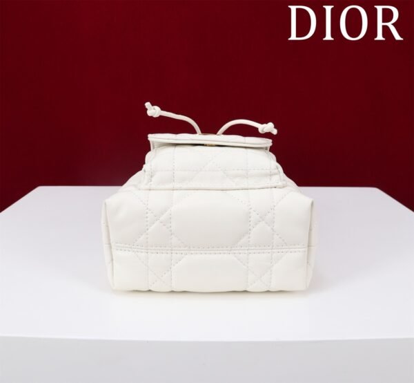 Dior Caro Nano Bucket Bag