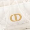 Dior Caro Nano Bucket Bag