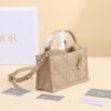 Mini Dior Book Tote