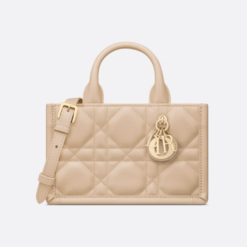 Mini Dior Book Tote