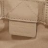 Mini Dior Book Tote
