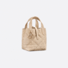 Dior Toujours Vertical Nano Tote Bag Beige