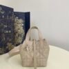 Dior Toujours Vertical Nano Tote Bag Beige