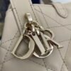 Dior Toujours Vertical Nano Tote Bag Beige