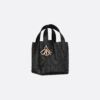 Dior Toujours Vertical Nano Tote Bag Black