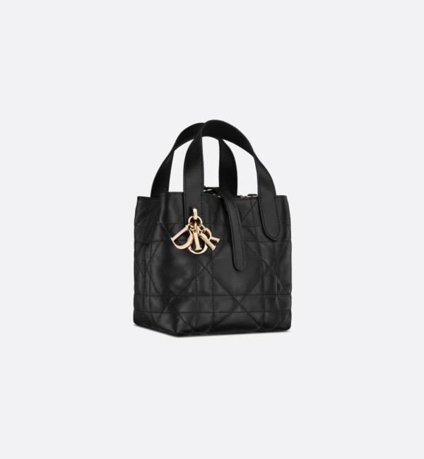 Dior Toujours Vertical Nano Tote Bag Black