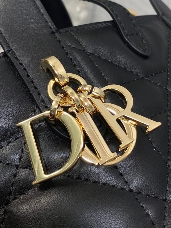 Dior Toujours Vertical Nano Tote Bag Black