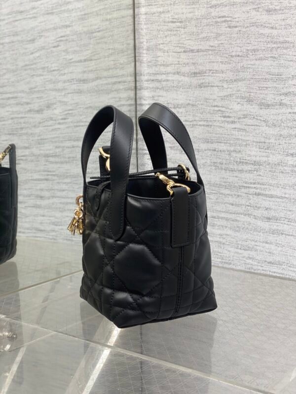 Dior Toujours Vertical Nano Tote Bag Black