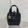 Dior Toujours Vertical Nano Tote Bag Black