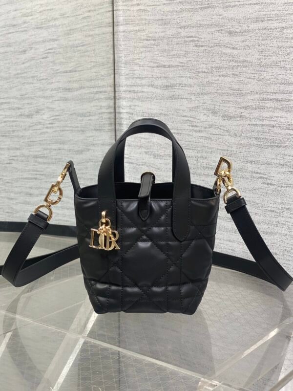 Dior Toujours Vertical Nano Tote Bag Black