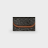 Celine Wallet on strap in Triomphe Canvas and Smooth Lambskin