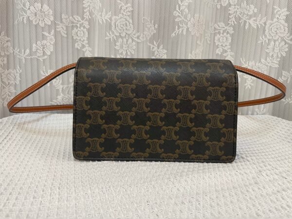 Celine Wallet on strap in Triomphe Canvas and Smooth Lambskin