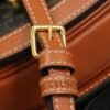 CELINE MINI BESACE CLEA in Triomphe canvas and calfskin