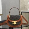 CELINE MINI BESACE CLEA in Triomphe canvas and calfskin