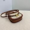 CELINE MINI BESACE CLEA in Triomphe canvas and calfskin