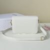 Celine CLASSIQUE TRIOMPHE BAG IN shiny calfskin