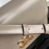 Celine CLASSIQUE TRIOMPHE BAG IN shiny calfskin