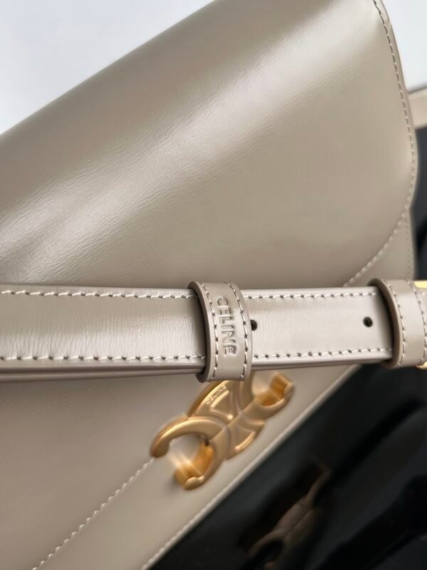 Celine CLASSIQUE TRIOMPHE BAG IN shiny calfskin