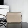 Celine CLASSIQUE TRIOMPHE BAG IN shiny calfskin