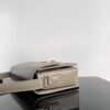 Celine CLASSIQUE TRIOMPHE BAG IN shiny calfskin