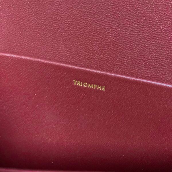 Celine CLASSIQUE TRIOMPHE BAG IN shiny calfskin