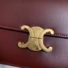 Celine CLASSIQUE TRIOMPHE BAG IN shiny calfskin