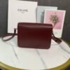 Celine TEEN TRIOMPHE BAG IN shiny calfskin