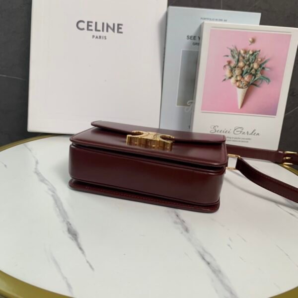 Celine TEEN TRIOMPHE BAG IN shiny calfskin