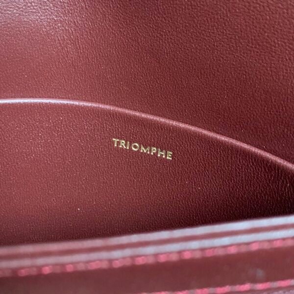 Celine TEEN TRIOMPHE BAG IN shiny calfskin