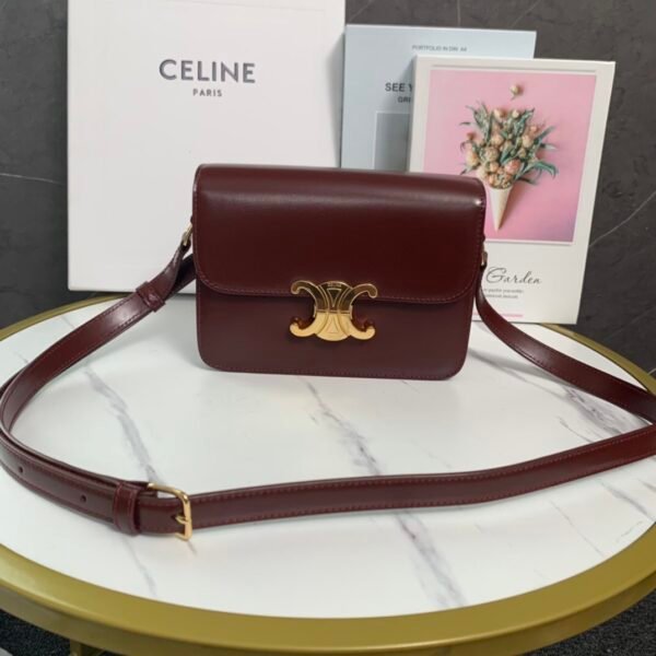 Celine TEEN TRIOMPHE BAG IN shiny calfskin