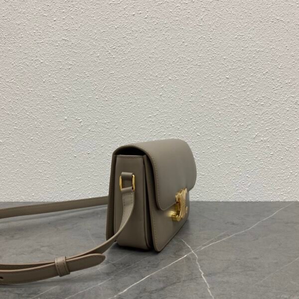 Celine Teen Triomphe Bag in shiny calfskin