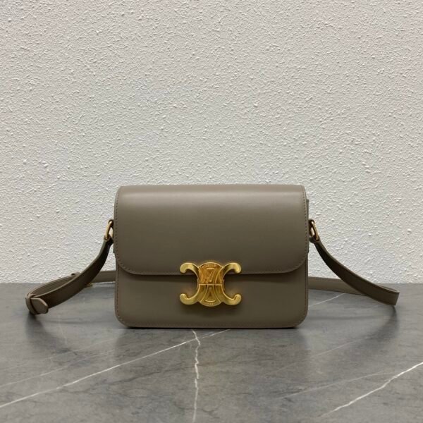 Celine Teen Triomphe Bag in shiny calfskin