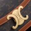 CELINE TEEN TRIOMPHE BAG IN TRIOMPHE CANVAS AND CALFSKIN