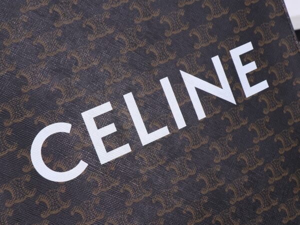 Celine Small Vertical Cabas in Triomphe Canvas with Celine Print