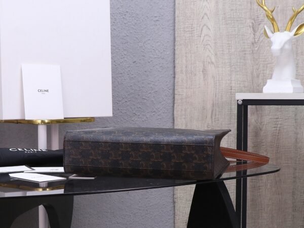 Celine Small Vertical Cabas in Triomphe Canvas with Celine Print