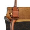 Celine Mini Vertical Cabas IN Triomphe Canvas with Celine print