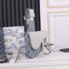 Saddle Bag Dior Gray Coated Cotton Canvas