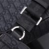 Dior Saddle Triple Pouch