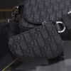 Dior Saddle Triple Pouch