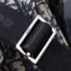 Dior Saddle Messenger Bag