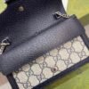 DIONYSUS MINI BAG