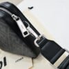 Fendi Diagonal Camera Case
