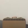 Fendi Sunshine Medium